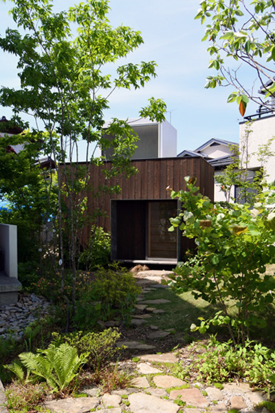 アオダモの木庭木 楽天市場】庭木 アオダモ（植木｜ガーデニング・農業）：花・ガーデン