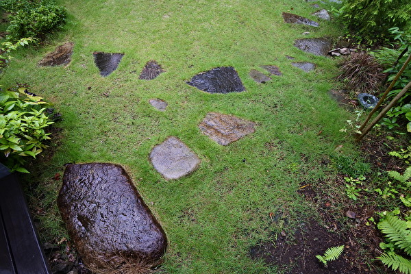 雨の庭の石｜小林賢二の庭百景｜つむじ